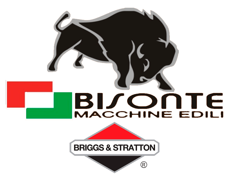 BISONTE - BRIGGS & STRATTON